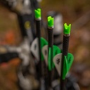Armbrustpfeil Acu-X 20" TenPoint