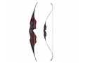 Recurve Accipiter White Feather