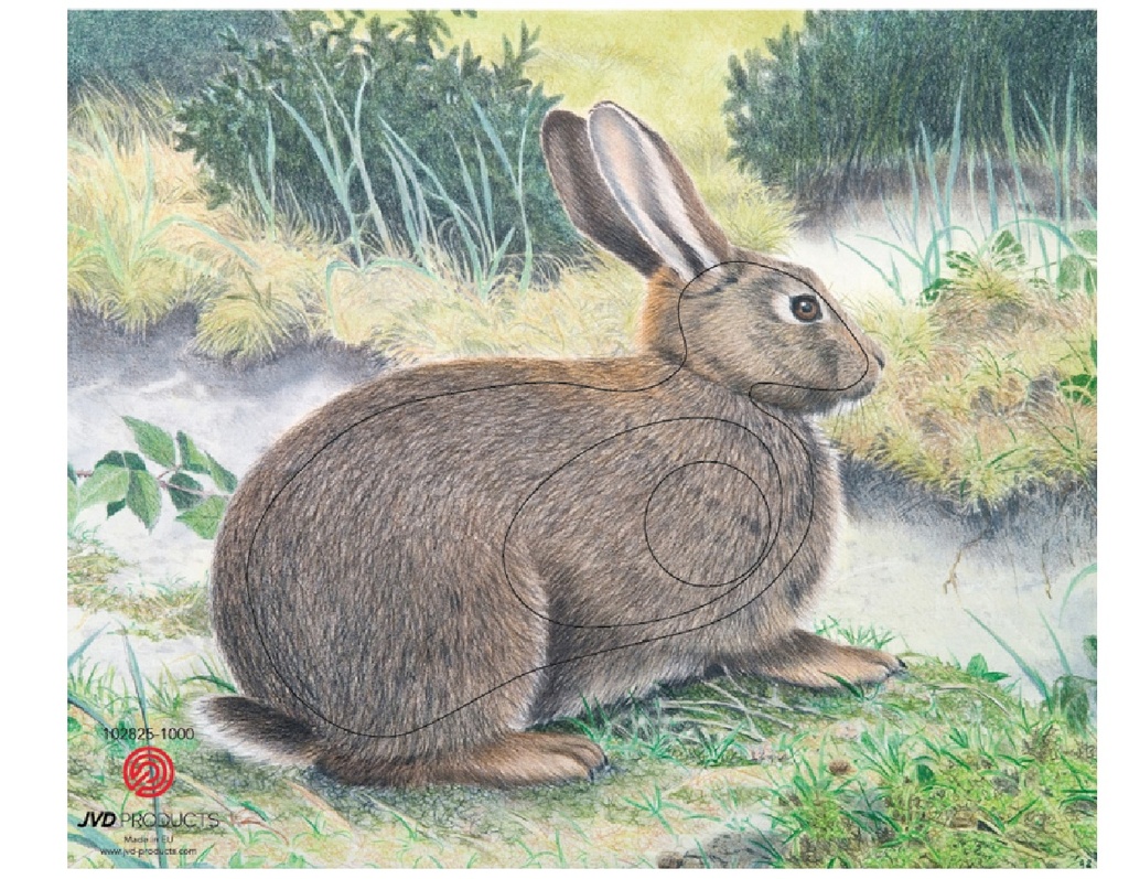 Tierbild Rabbit