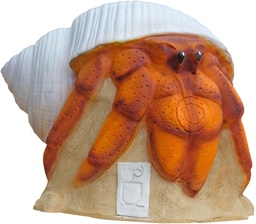 Einsiedlerkrebs 3Di SRT