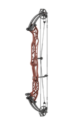 Compound Concept XTS 37 Hoyt